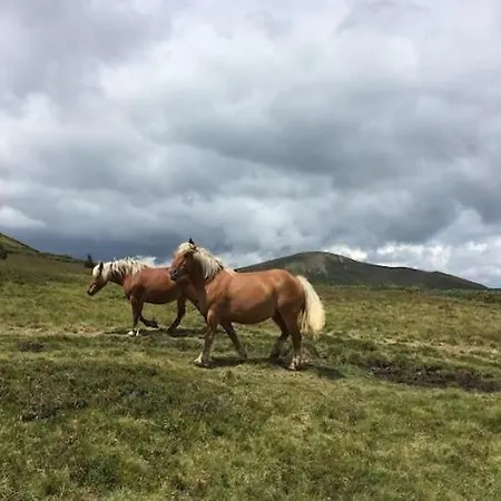 Luxurious With Private Pool *