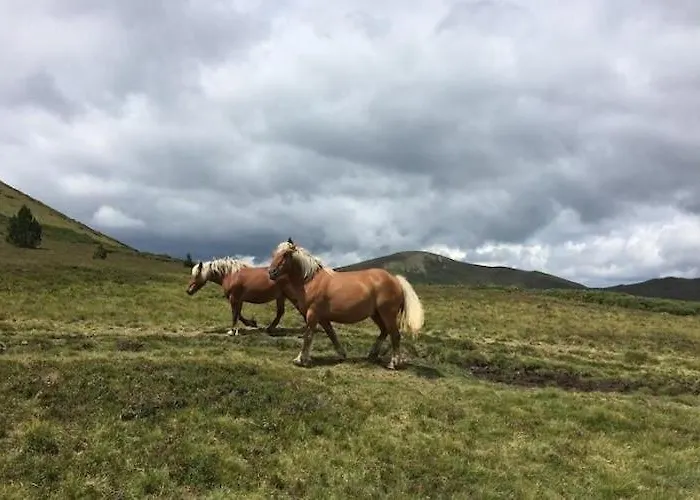 Luxurious With Private Pool *
