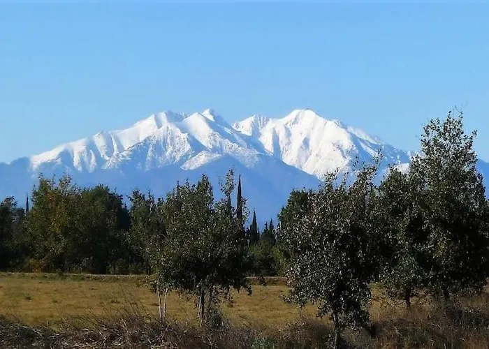 Luxurious With Private Pool 度假居